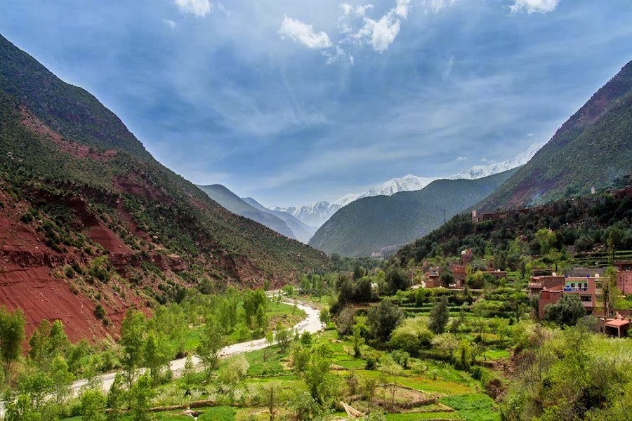 Featured image for “Day Trip to Ourika Valley from Marrakech”