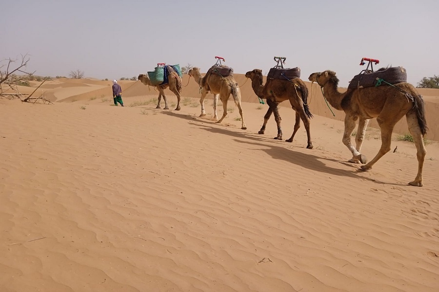 Featured image for “6 Day Excursion from Marrakech to the Sahara Desert”