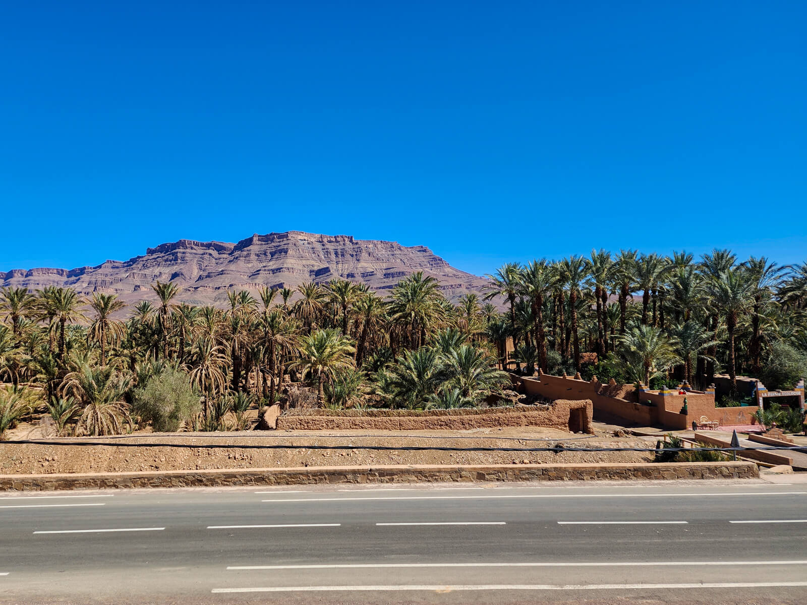 Featured image for “Date Palms in Draa Valley”