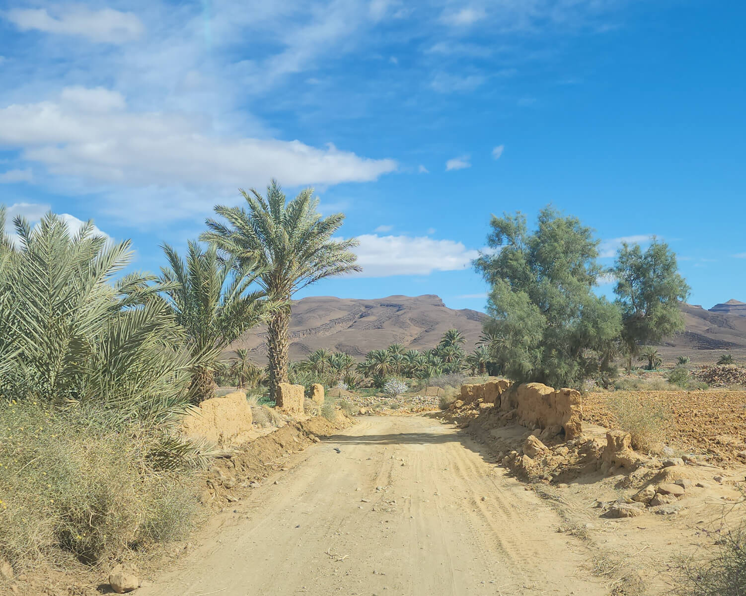 Featured image for “Wildlife Park”