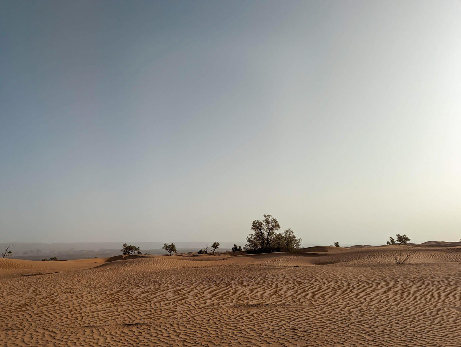 Featured image for “Iriki National Park”