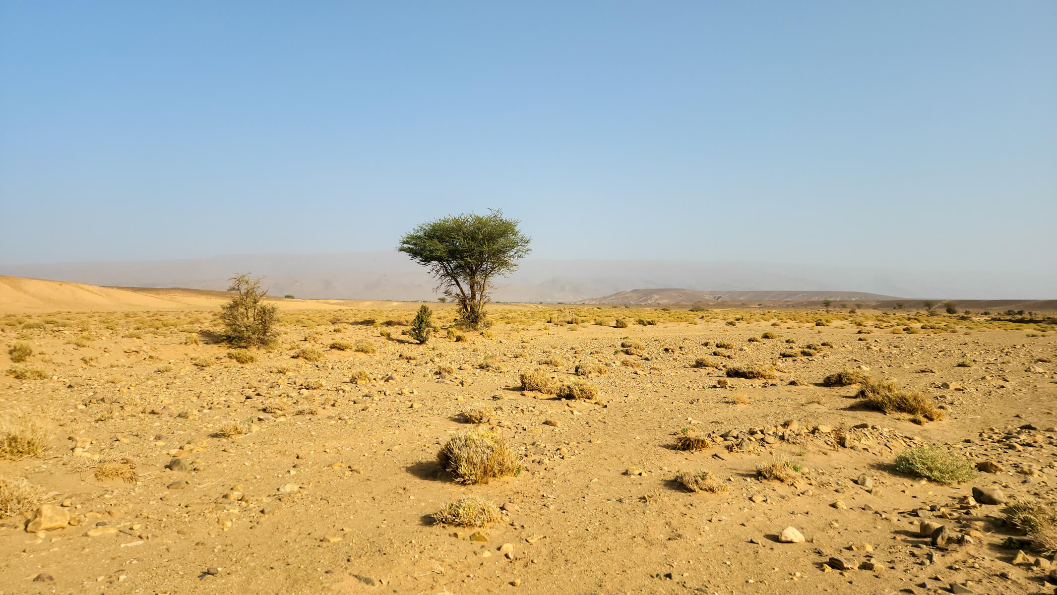 Featured image for “Iriki National Park”