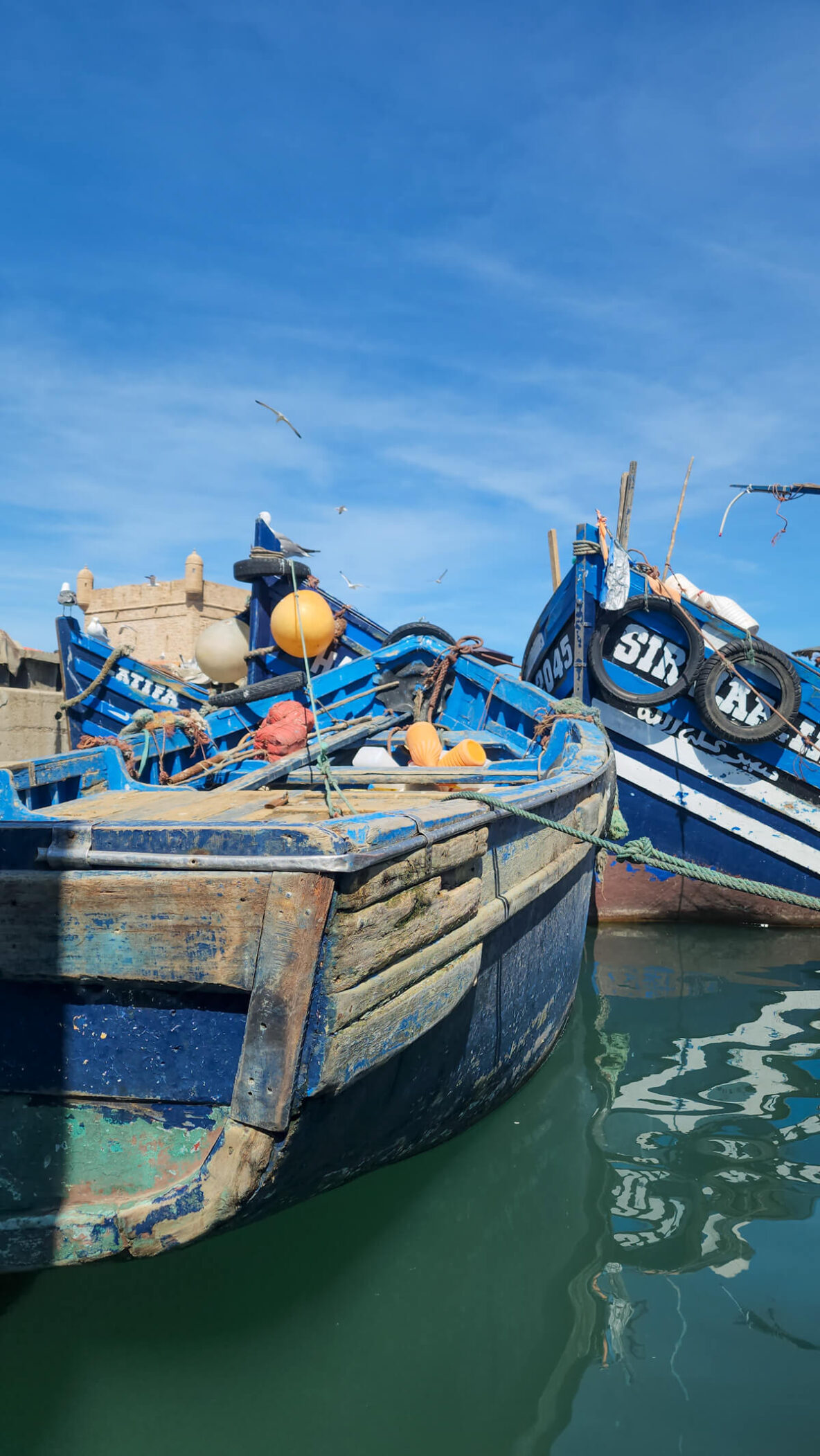 Boats Docked in Essaouira