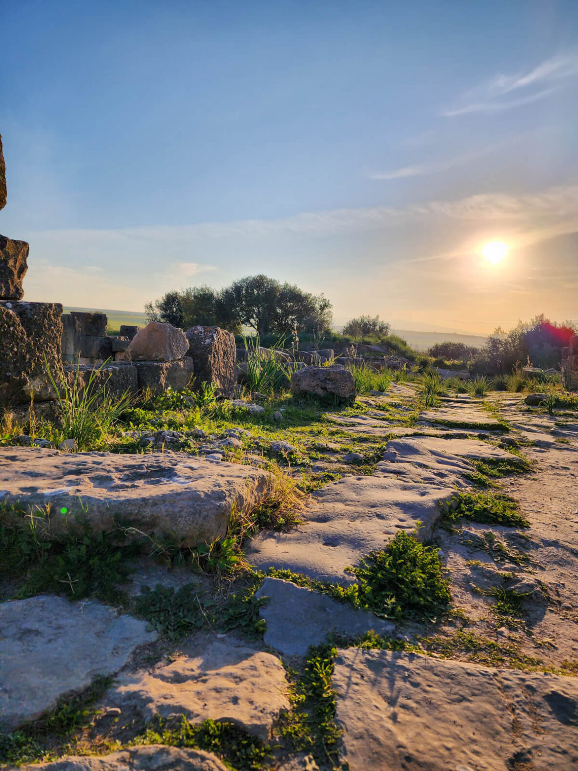 Roman Ruins in Volubilis