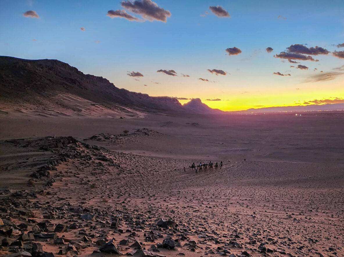 Camel Ride in Zagora Desert