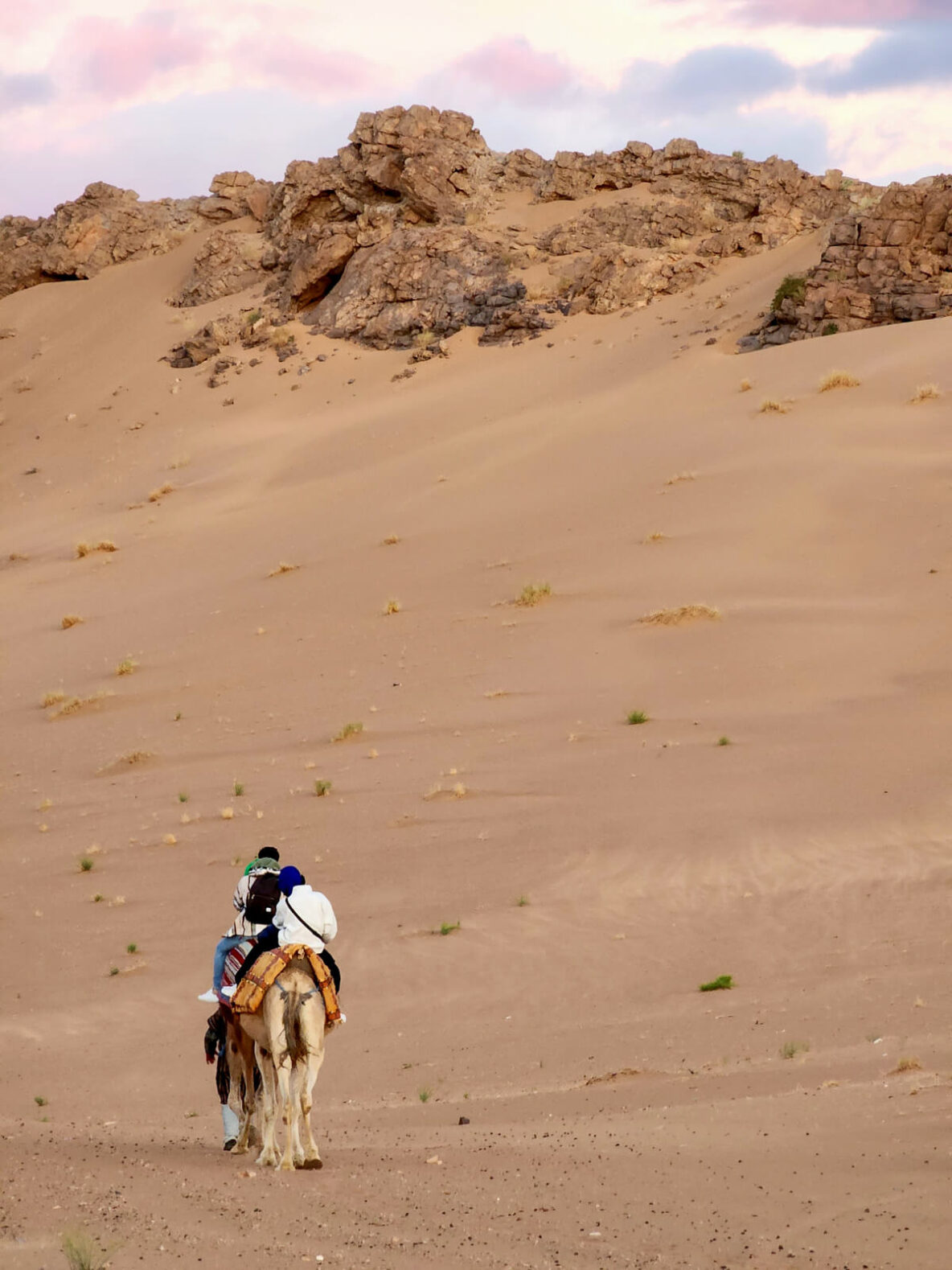 Camel Ride in Zagora