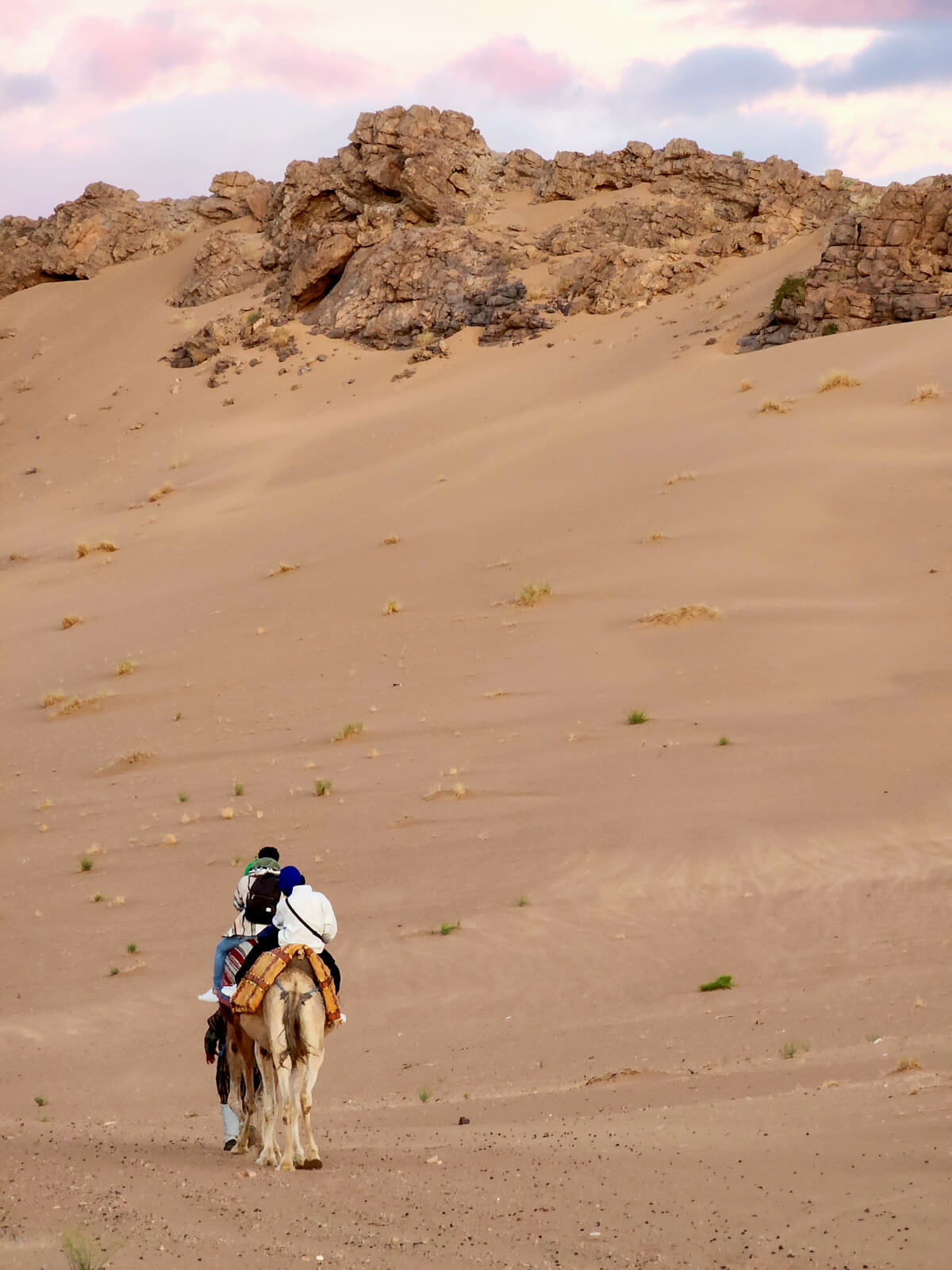 Featured image for “Camel Ride in Zagora”