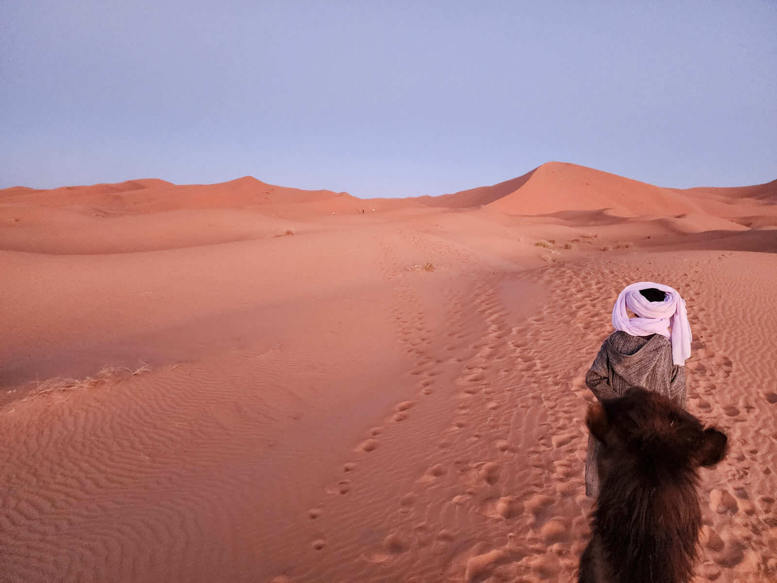 Featured image for “Camel Ride in Erg Chebbi”