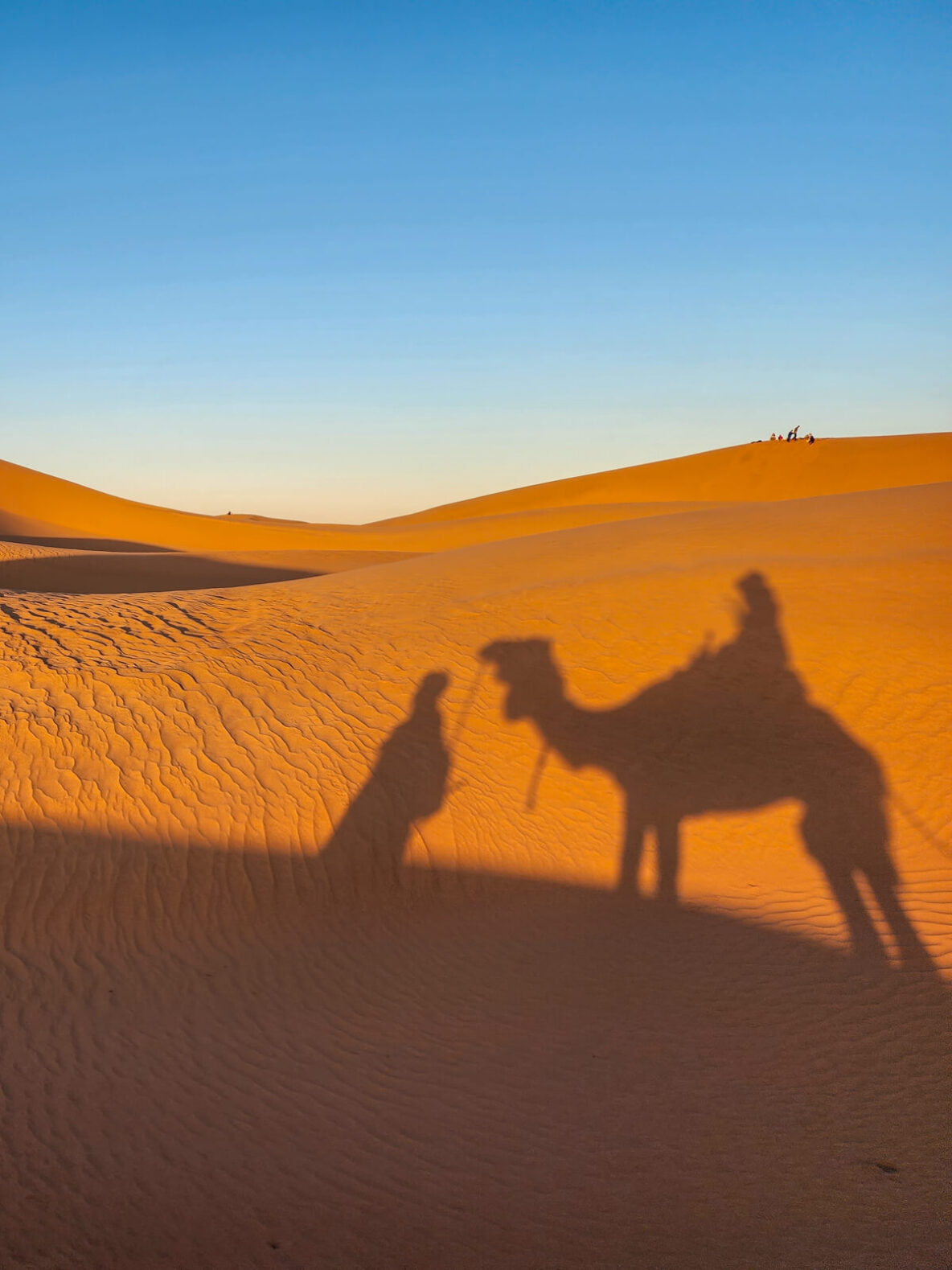 Camel Ride in Erg Lihoudi