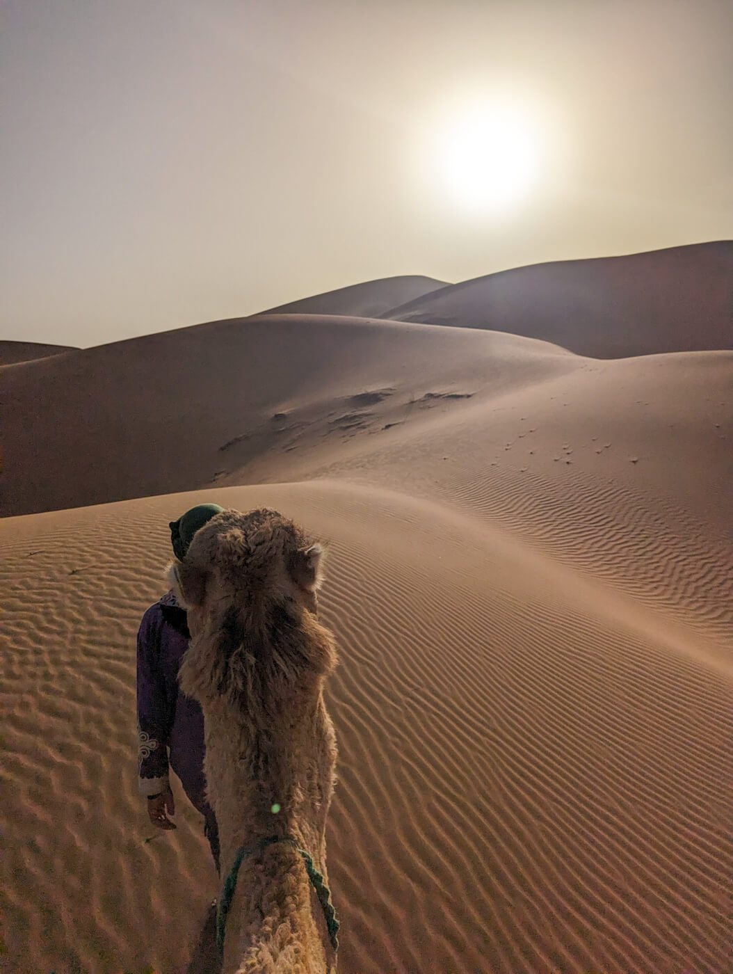 Featured image for “Camel Ride in Chegaga Dunes”