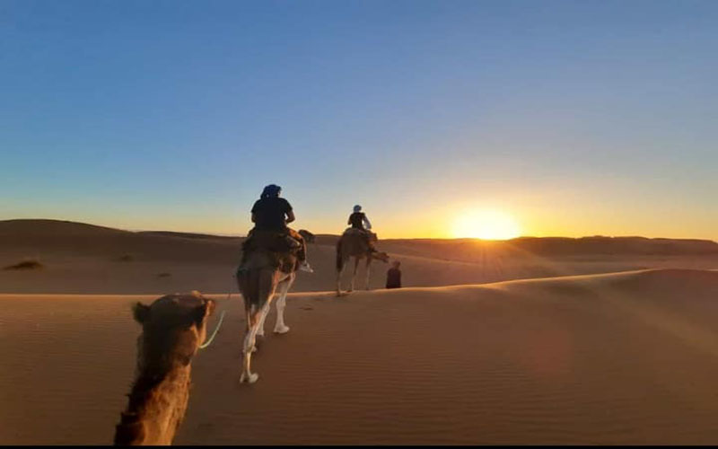 Camel Ride in Erg Lihoudi