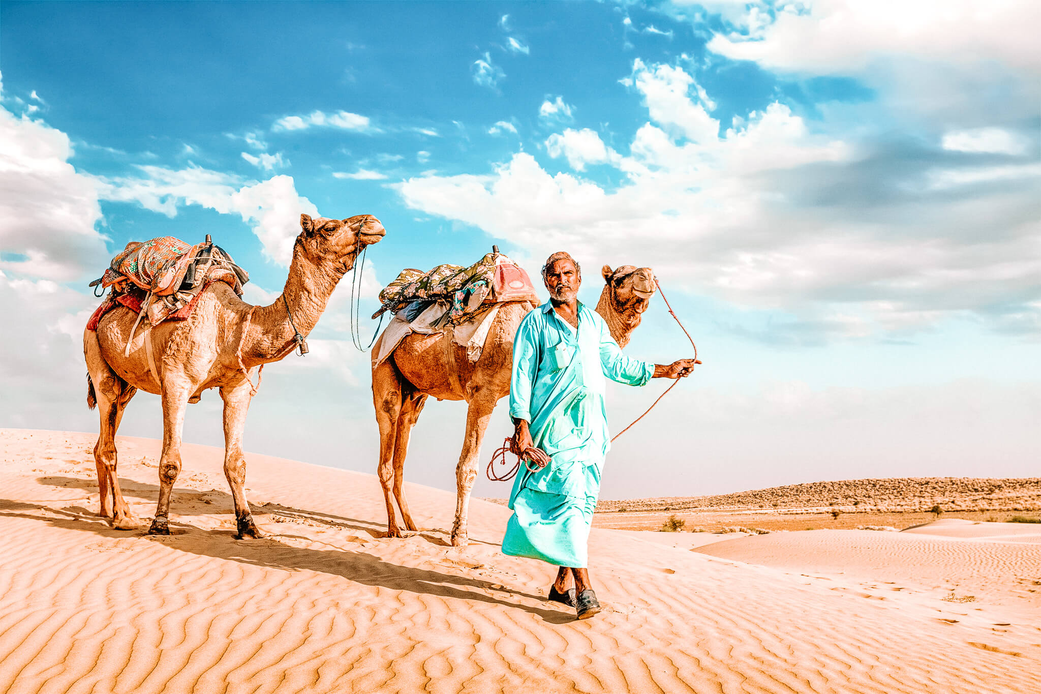 Camel driver with two camels in the Sahara Desert