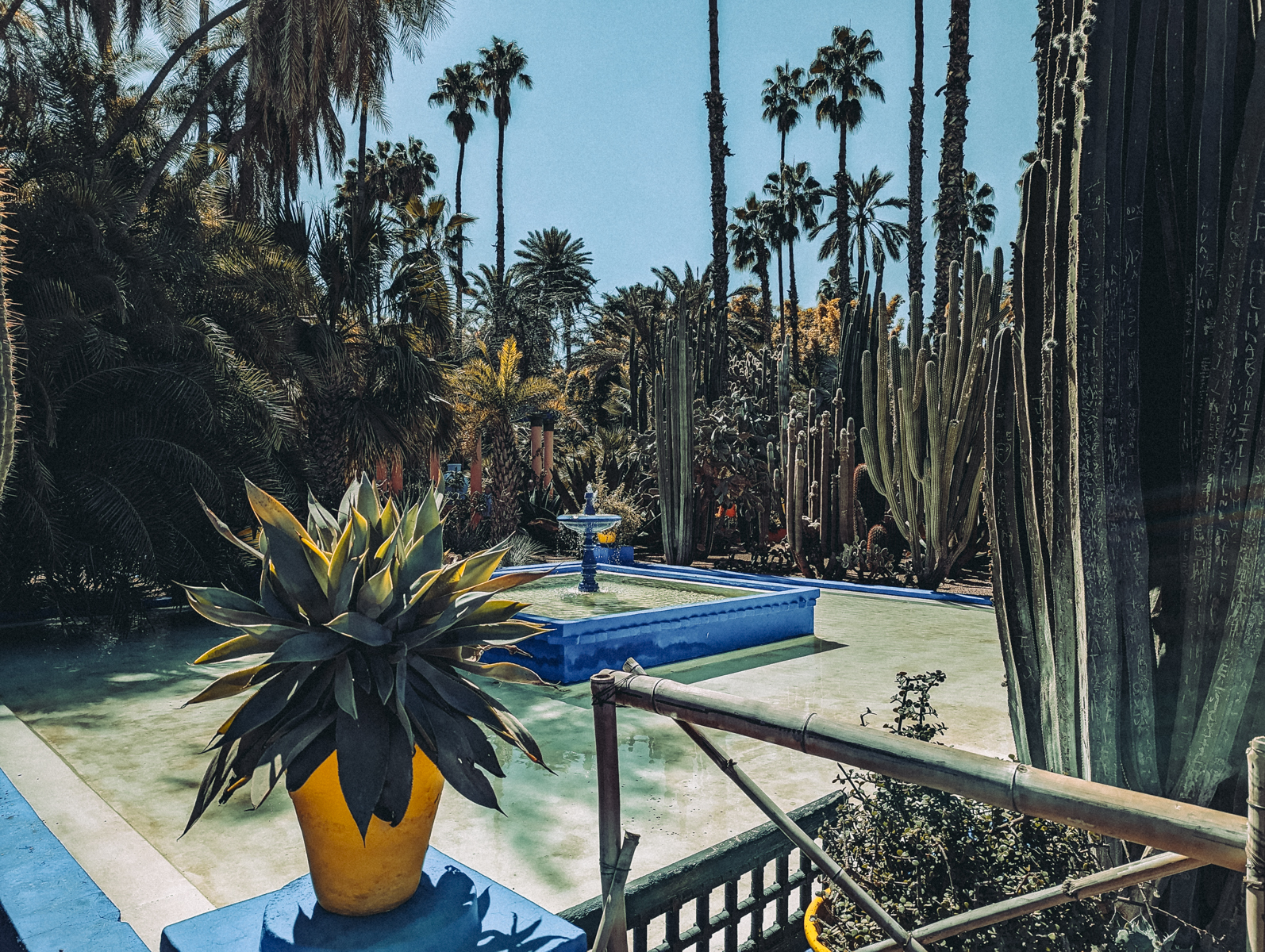 The garden of Majorelle in the city of Marrakech, Morocco