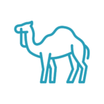 camel icon