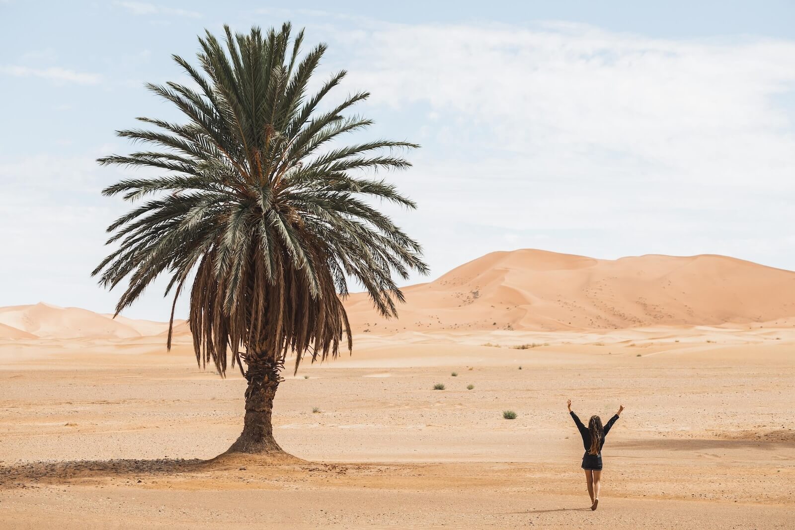 Woman walking in the desert with sand dunes and a palm tree