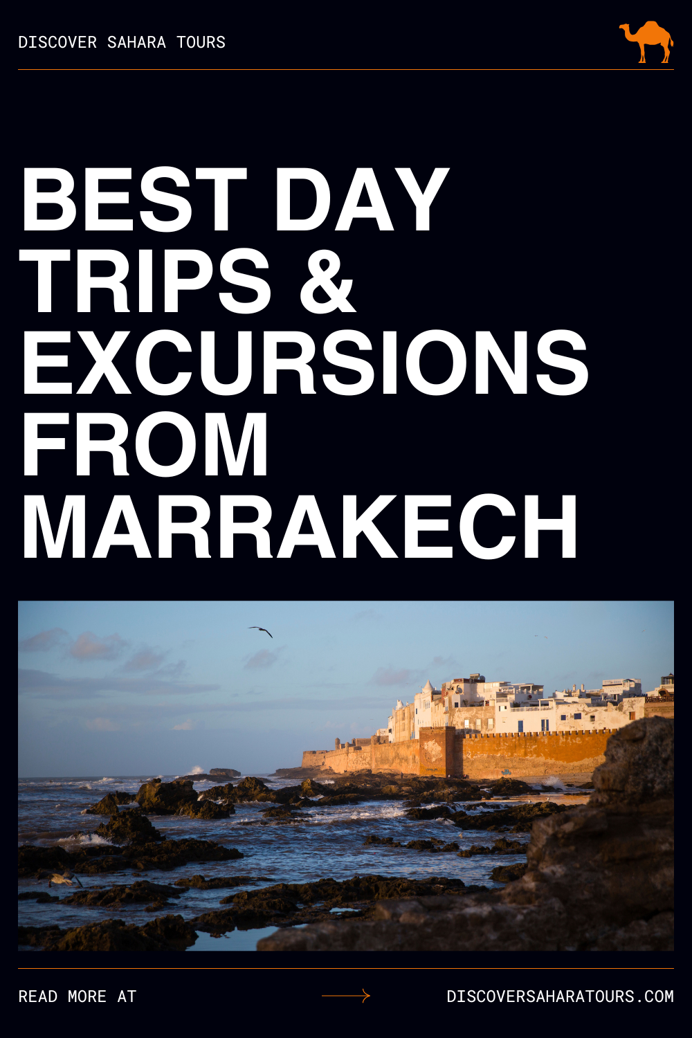 Pin it! Best Day Trips & Excursions from Marrakech, Morocco